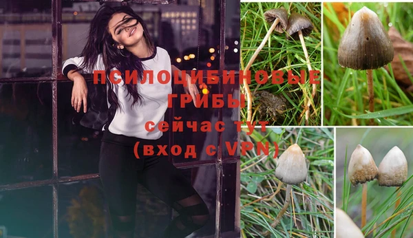 ECSTASY Белокуриха