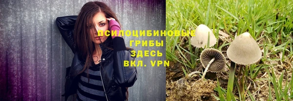 гидропоника Балабаново