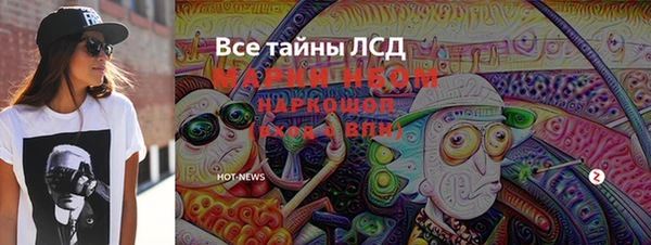 гашик Балахна