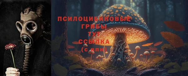 гашик Балахна