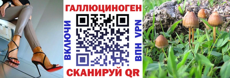 купить наркоту  Мглин  omg ссылки  Галлюциногенные грибы мицелий 